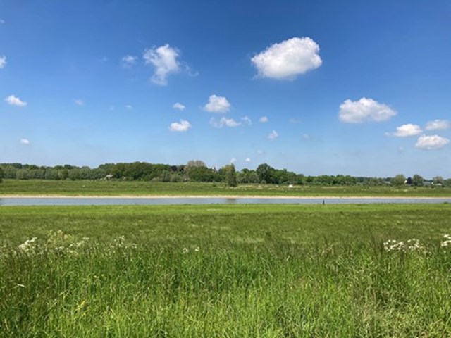 rha-uiterwaard.jpg