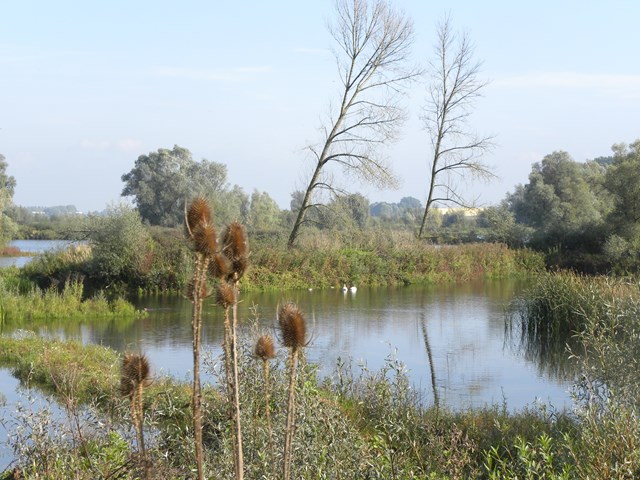 DSCN1365.JPG